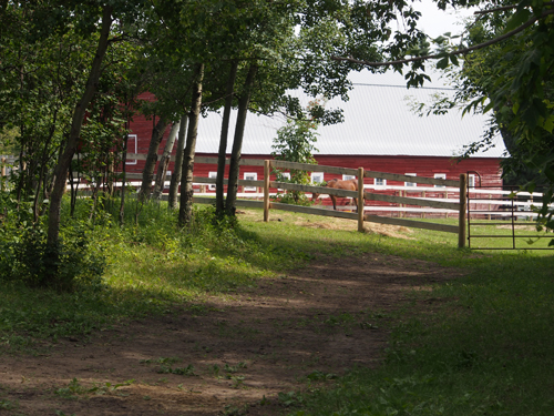 Looking from the west to the barn at the top of C&E Trail