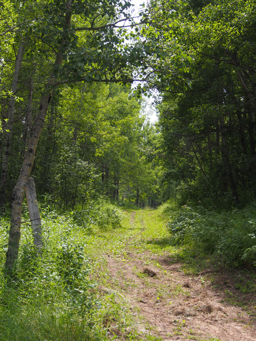 Horseman's Park Trails
