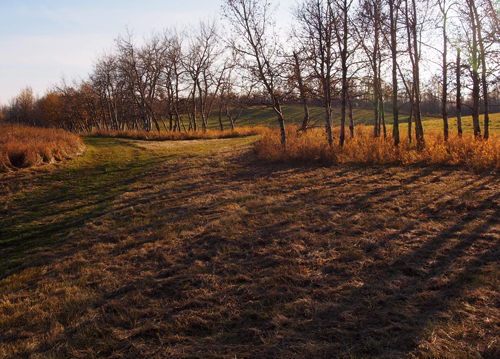 Horseman's Park Trails