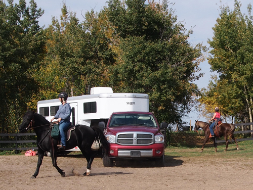 Haul-Ins at Horseman's Park Alberta