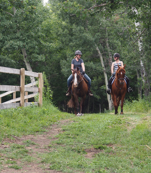 Trails at Horseman's Park Alberta