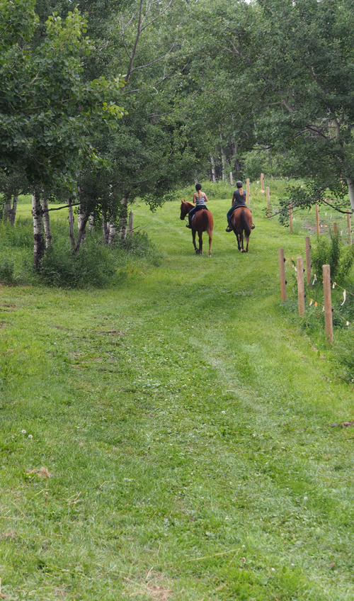 Lyrah Caylen at Horseman's Park
