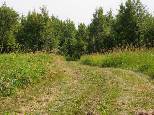 Trail to North from Middle Earth